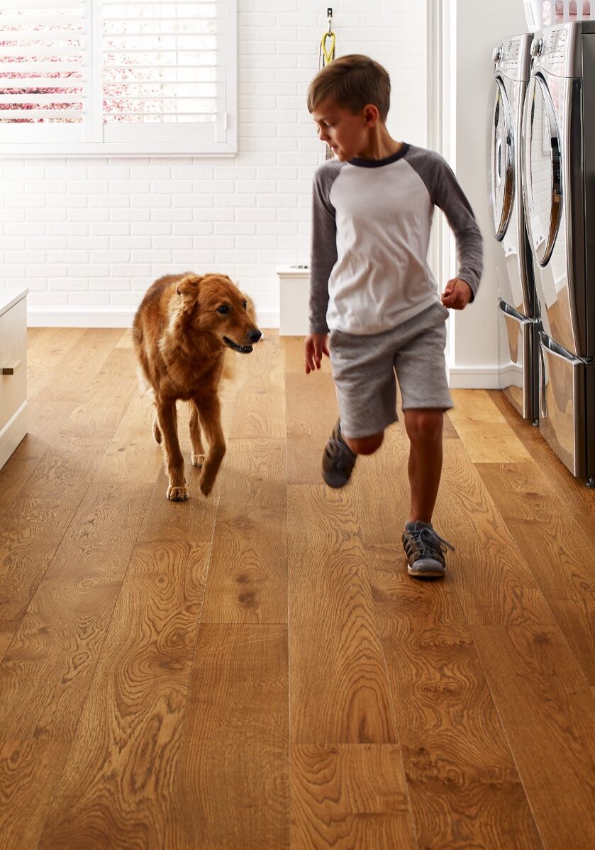 Pet friendly floor | Floor to Ceiling Mason City